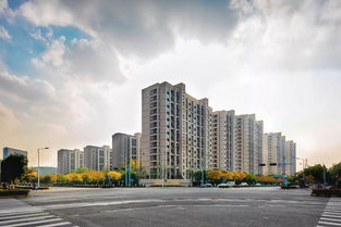 盛世体苑 点亮城市未来生活的体育风尚